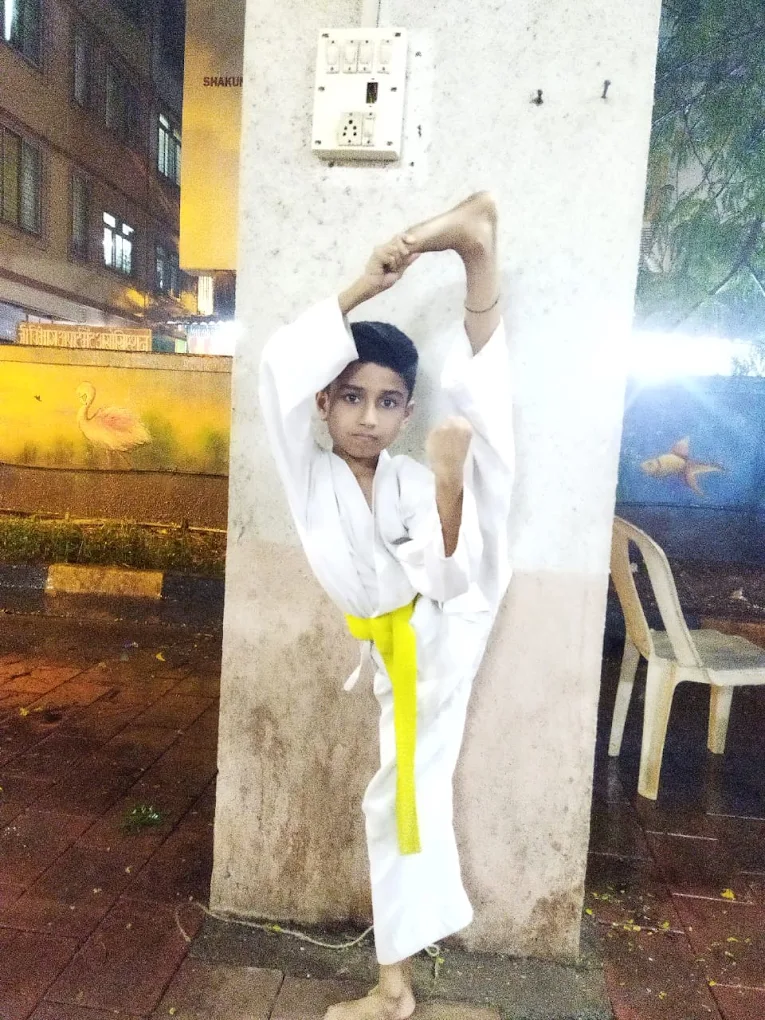 Advanced Karate Techniques